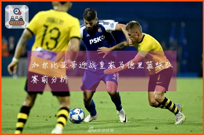 加尔比亚蒂迎战皇家马德里篮球队赛前分析